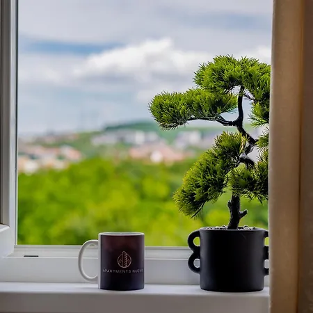 Nuevo 1 Apartment *
